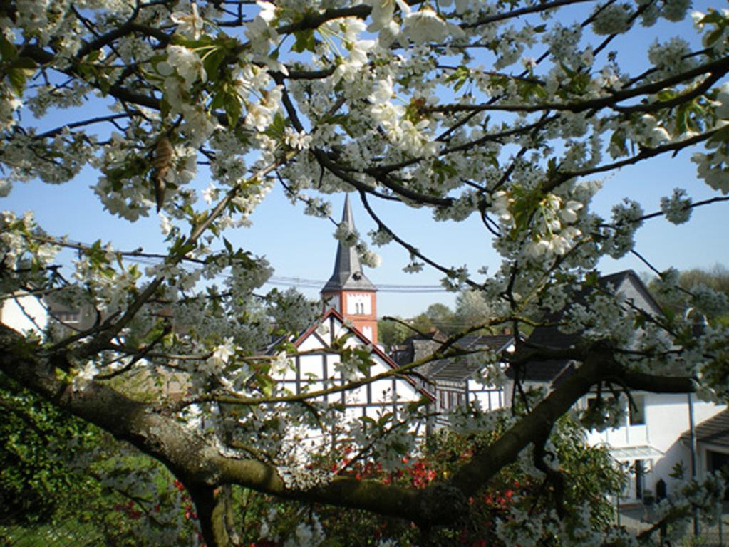 Maisonette Im Hof Krupp Bruchhausen  Zewnętrze zdjęcie